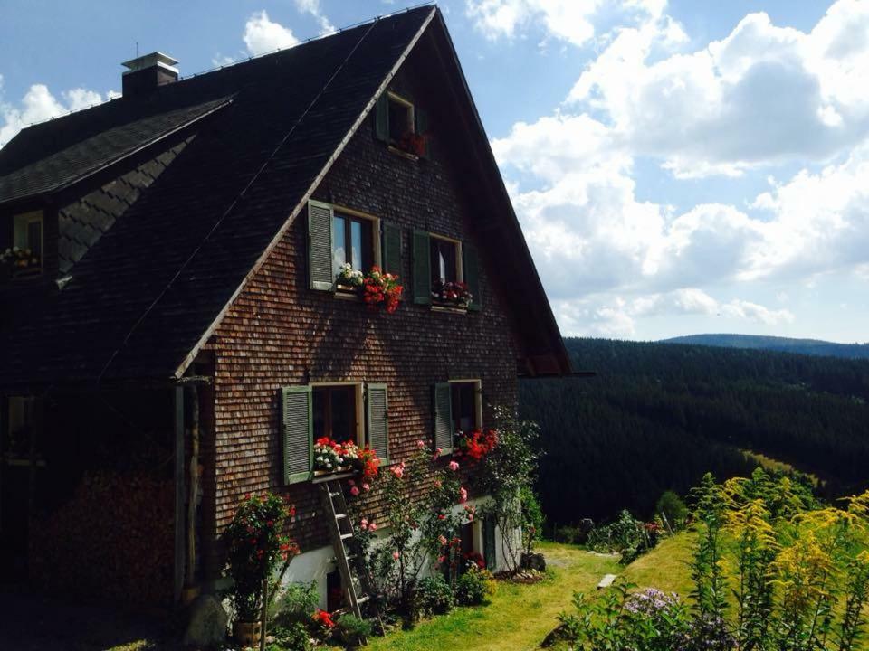Ferienhaus "Am Waeldle" Фельдберг Екстер'єр фото